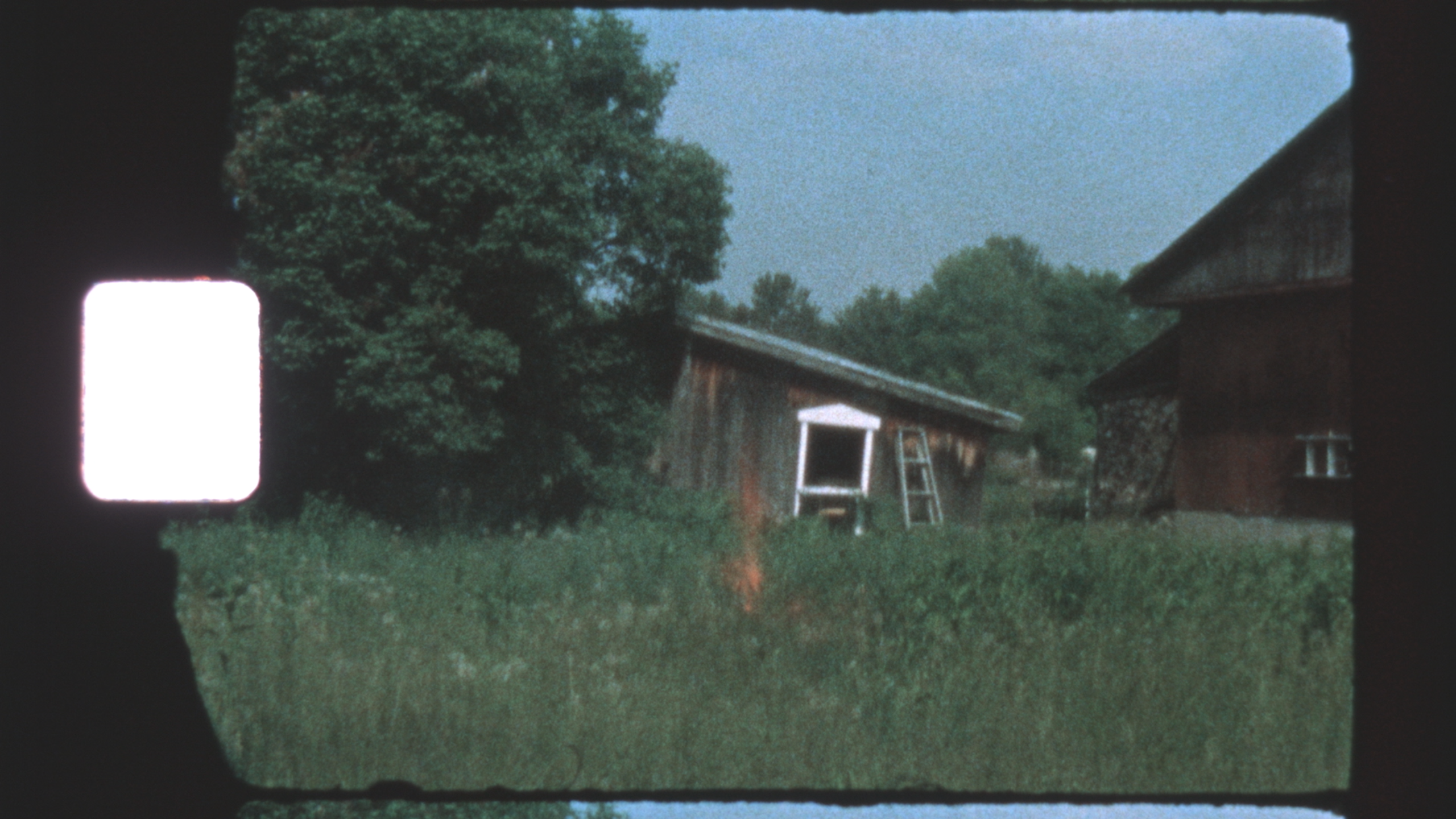 Baste Records Membership Bundle Special